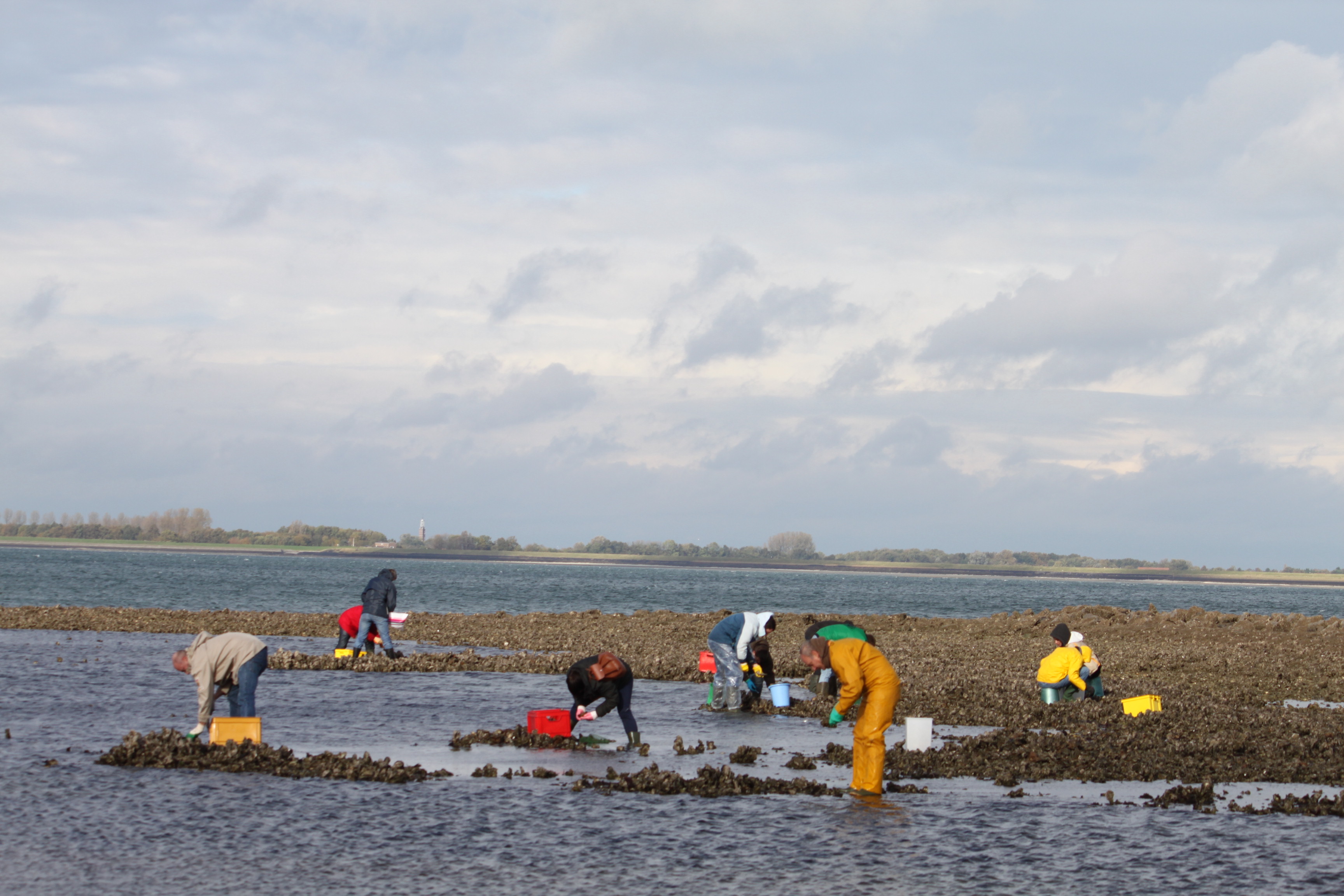 Pêche 2012